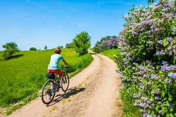 Fototapeta premium Woman cyclist riding bicycle on gravel forest road, Wigry National Park, Podlasie, Poland