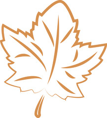 September. autumn leaves, acacia, rowan, fern, ash, oak, maple. Eps 10. art for Thanksgiving, harvest, farming