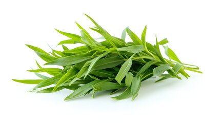 Fototapeta premium Tarragon spice ingredient on a white backgroundready for cooking with. A fresh bunch of vibrant green tarragon leaves isolated on a white background for culinary use. 