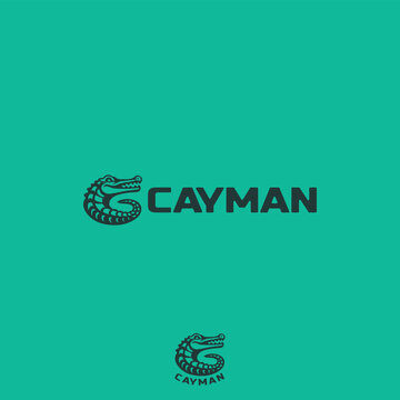 Ready Cayman logo for various businesses