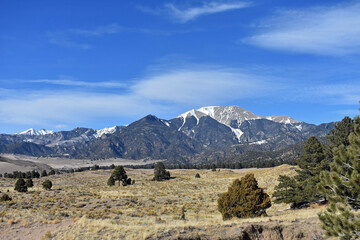 Pine dotted landscape at Great Sand Dunes National Park
