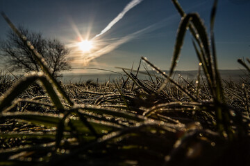 Dawn On The Downs (series) 2