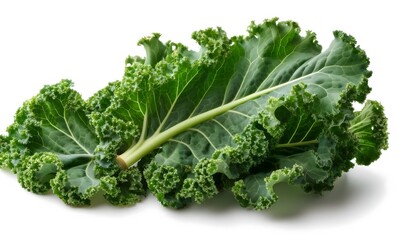 Fresh kale leaves on a white background