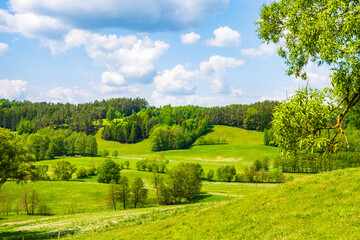 Trees on green hills with meadows, Suwalski Landscape Park, Podlasie, Poland