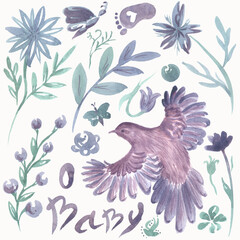 Watercolor set of plants and flowers, birds. Perfect for decorating holidays and gifts.