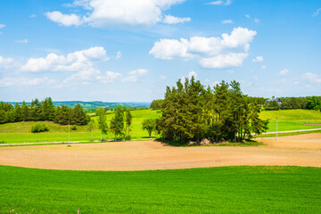 Trees on green hills with meadows, Suwalski Landscape Park, Podlasie, Poland