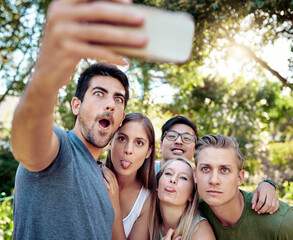 Comedy, funny face and selfie with group of friends outdoor in nature together for bonding or profile picture. Picnic, social media or smile with men and women in park for photograph of break