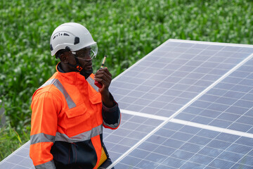 Service engineer inspects and maintains solar panels in a cultivation area, promoting clean energy.
