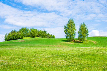 Obraz premium View of green meadows and farming fields in spring season, Suwalski Landscape Park, Podlasie, Poland
