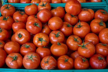 Fresh tomatoes on the market stand ready for sell