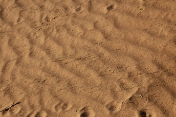 Sahara dunes, waves and footprints in the sand, background