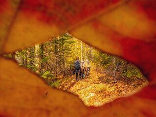 hiking in the autumn