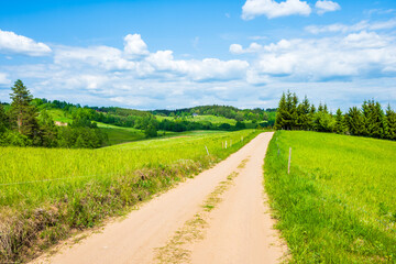 Countryside dirt road along green fields and meadows, Suwalski Landscape Park, Podlasie, Poland