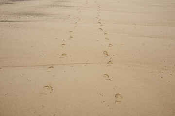 footsteps on the sand, footsteps on the beach, footprint