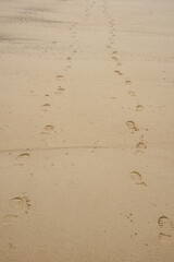 footsteps on the sand, footsteps on the beach