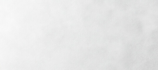 Fototapeta premium Textured White and Gray Minimalist Background