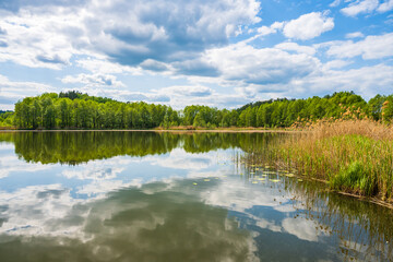 View of beautiful lake shore during sunny summer day, Suwalski Landscape Park, Podlasie, Poland