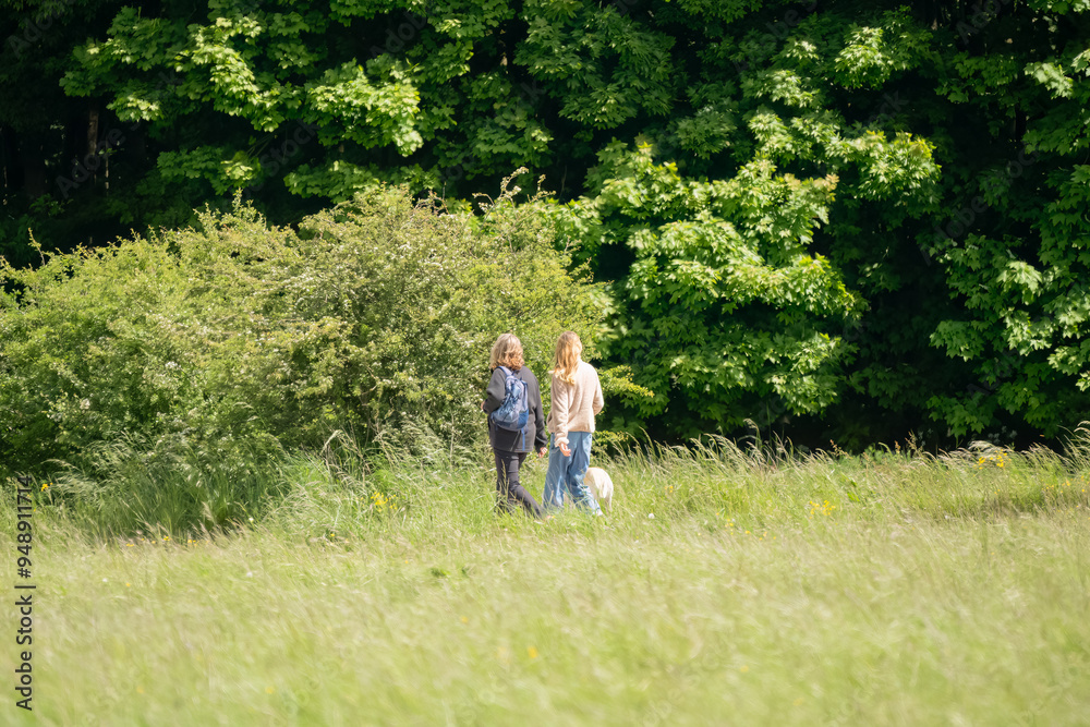 Wall mural two ladies walking a dog in countryside