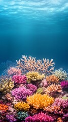 Fototapeta premium Vibrant coral reef underwater with colorful corals and blue water