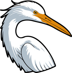 Great egret head close-up