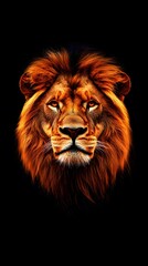 Naklejka premium Lion Close-up Looking Up on Black Background, Abstract Image, Texture, Pattern, Wallpaper, Cover and Screen of Smartphone, PC, Laptop, 9:16 and 16:9 Format