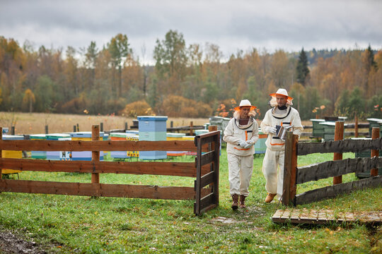 Wide angle shot of two mature beekeepers in protective suits passing through wooden farm gate leaving apiary with autumn forest on background, copy space