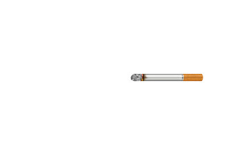 Cigarette with smoke on a transparent background. Tobacco.