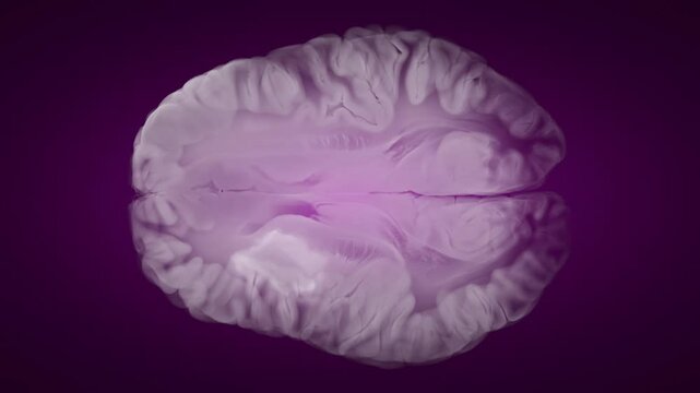 Ischemic Stroke MRI with Blood-Brain Barrier Enhancement on Purple Background