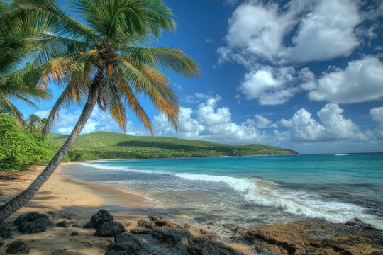 St. Croix Virgin. Tropical Island Coastline - A Traveler's Paradise