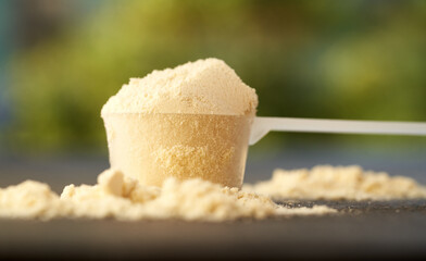 Whey protein powder in a measuring scoop outdoors