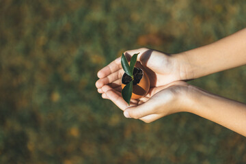 Kid's hand holding repuposed eggshell transformed into fertilizer pot, symbolizing commitment to...