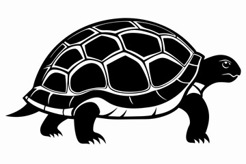 tortoise icon vector black silhouette