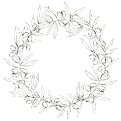Fototapeta premium Round wreath made of olive branches, showcasing intricately detailed olives and leaves. Pencil drawing clipart for wedding invites, save the date, packaging of premium olive oil, organic cosmetics