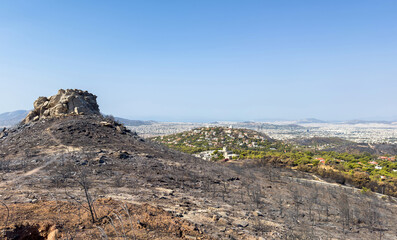 Athens cityscape view from Penteli mountain, Burnt trees after forest fire.