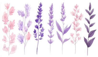 Fototapeta premium Watercolor lavender branch clip art, set on a white background