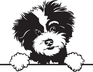 Bichon Frise Dog Peeking Stylized Vector Illustration