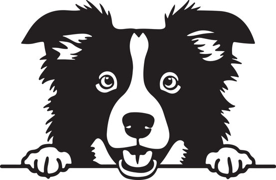 Border Collie Dog Peeking Stylized Vector Illustration