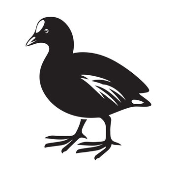 recommend clip art: Common Moorhen and Pelican Silhouette Vector Illustrations – Perfect for T-Shirt Designs
