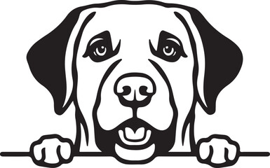 Labrador Dog Peeking Stylized Vector Illustration