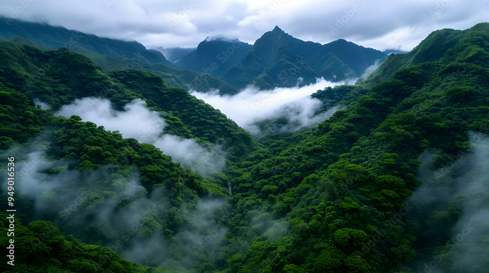 Poster View Mountain Range Covered Clouds