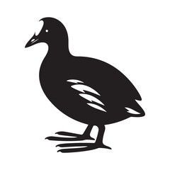 Common Moorhen and Pelican Silhouette Vector Illustrations – Perfect for T-Shirt Designs