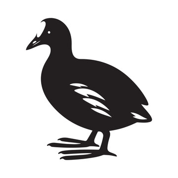 recommend clip art: Common Moorhen and Pelican Silhouette Vector Illustrations – Perfect for T-Shirt Designs