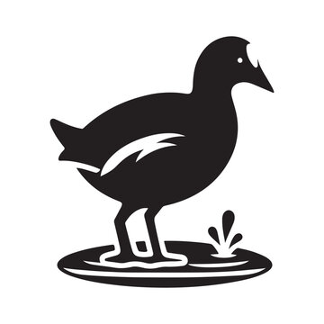 recommend clip art: Common Moorhen and Pelican Silhouette Vector Illustrations – Perfect for T-Shirt Designs