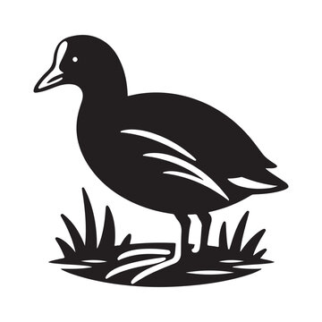 recommend clip art: Common Moorhen and Pelican Silhouette Vector Illustrations – Perfect for T-Shirt Designs