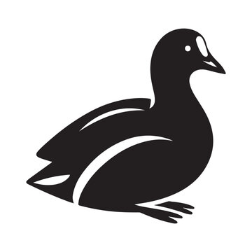 recommend clip art: Common Moorhen and Pelican Silhouette Vector Illustrations – Perfect for T-Shirt Designs