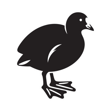 recommend clip art: Common Moorhen and Pelican Silhouette Vector Illustrations – Perfect for T-Shirt Designs