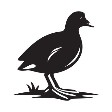 recommend clip art: Common Moorhen and Pelican Silhouette Vector Illustrations – Perfect for T-Shirt Designs