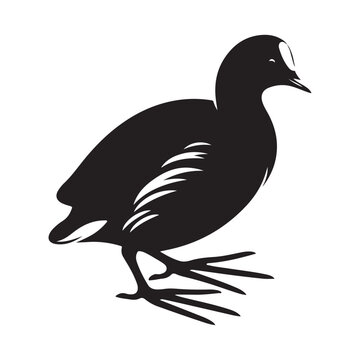 recommend clip art: Common Moorhen and Pelican Silhouette Vector Illustrations – Perfect for T-Shirt Designs