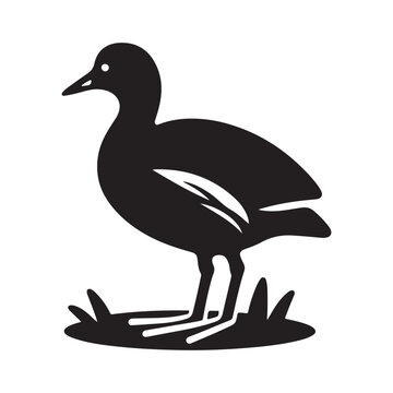 recommend clip art: Common Moorhen and Pelican Silhouette Vector Illustrations – Perfect for T-Shirt Designs