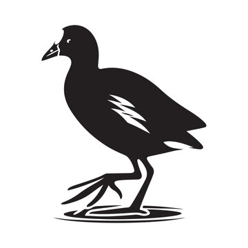 recommend clip art: Common Moorhen and Pelican Silhouette Vector Illustrations – Perfect for T-Shirt Designs